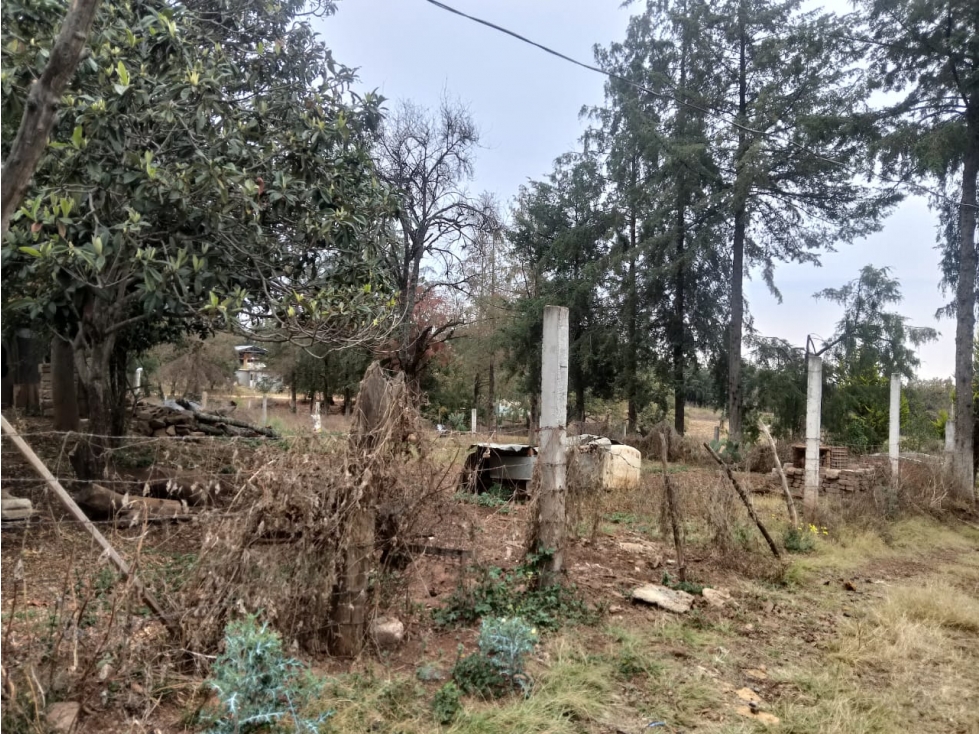 TERRENO EN VENTA EN HUASCA DE OCAMPO - 2