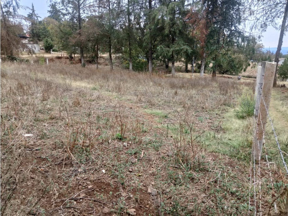 TERRENO EN VENTA EN EL PUEBLO MAGICO DE HUASCA DE OCAMPO - 2
