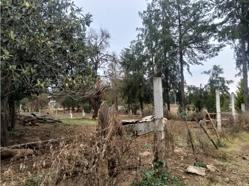 TERRENO EN VENTA EN HUASCA DE OCAMPO, HGO. - 3