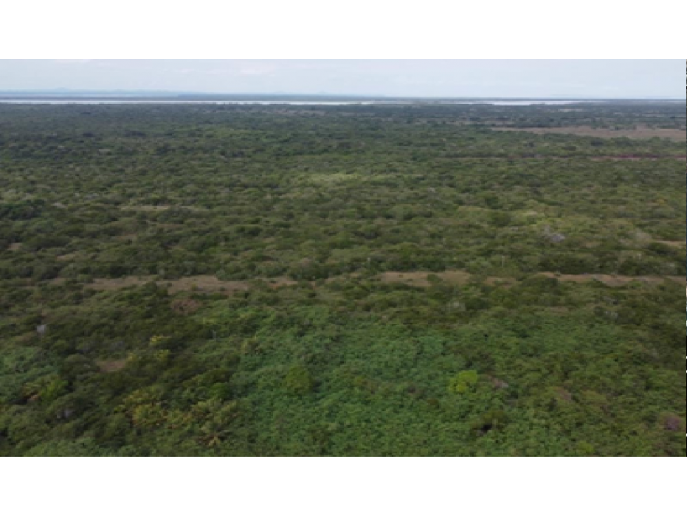 Ranchos en Venta en Tamiahua, Veracruz, Ideal Para Inversionistas - 3
