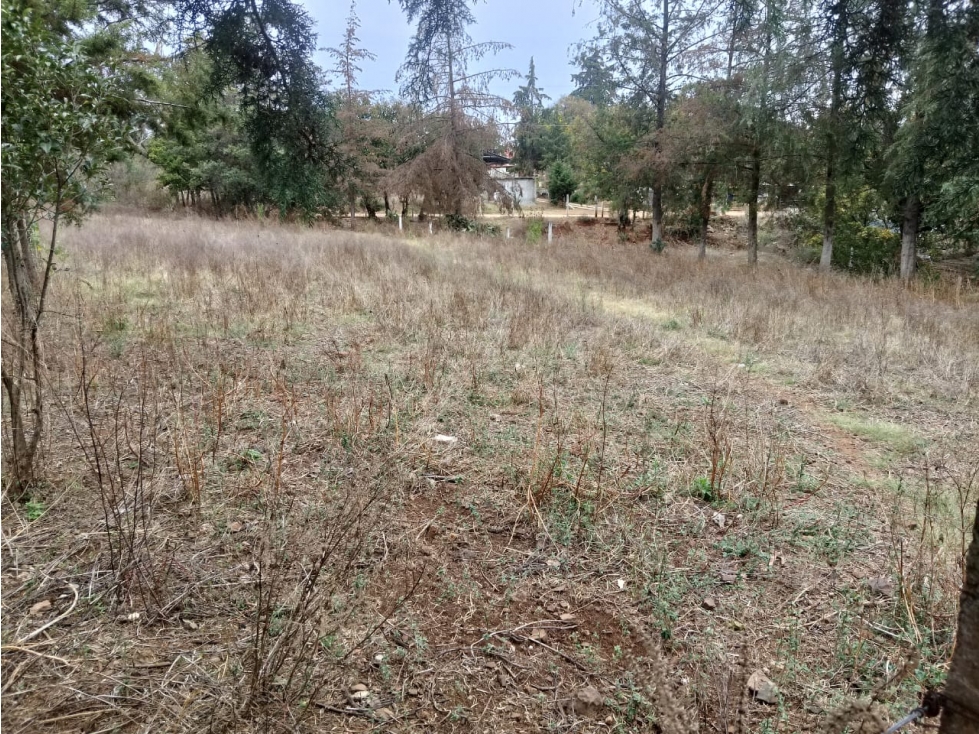 TERRENO EN VENTA EN EL PUEBLO MAGICO DE HUASCA DE OCAMPO - 3