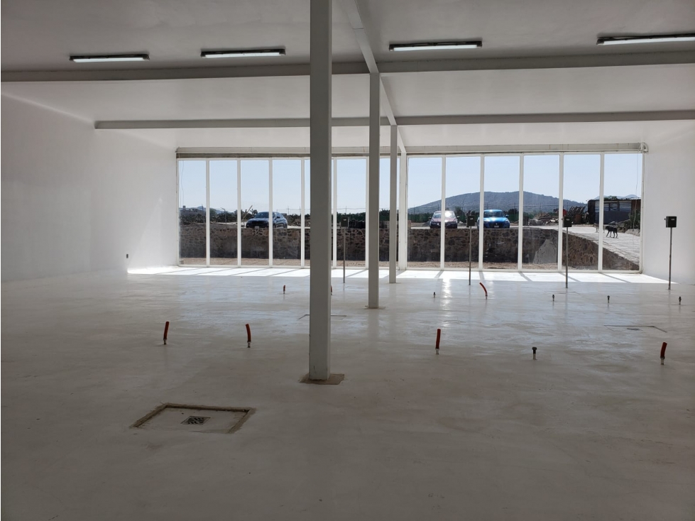 RENTA DE PLANTA EN ZEMPOALA CON NORMATIVA ALIMENTARIA - 4
