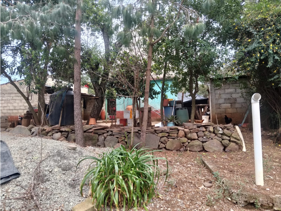 TERRENO EN VENTA EN HUASCA DE OCAMPO, HGO. - 4