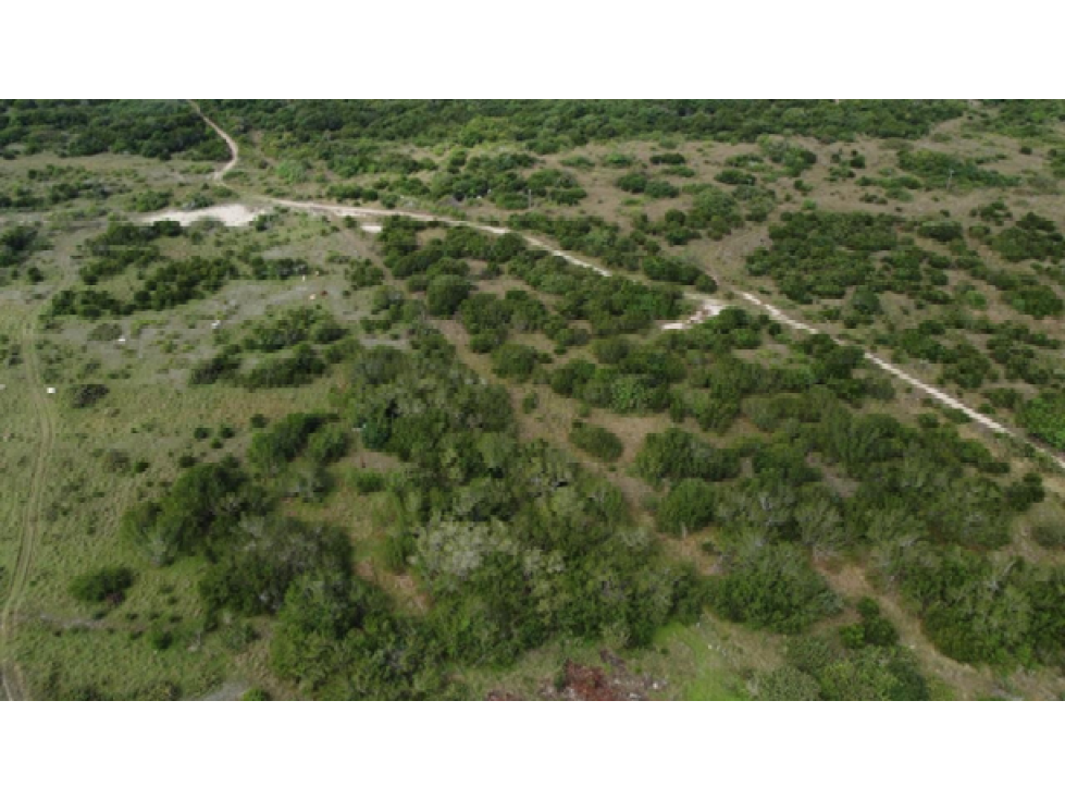 Ranchos en Venta en Tamiahua, Veracruz, Ideal Para Inversionistas - 4