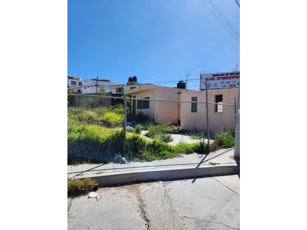 TERRENO EN RENTA SOBRE AVENIDA PRINCIPAL IDEAL PARA FRANQUICIAS — foto 6