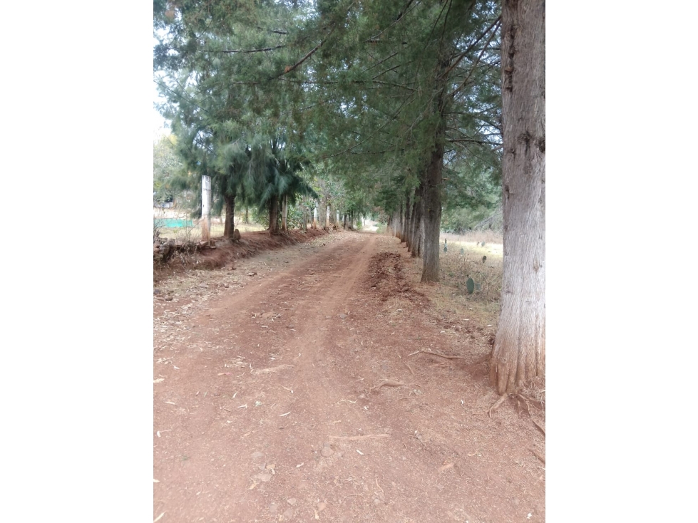 TERRENO EN VENTA EN HUASCA DE OCAMPO, HGO. - 5