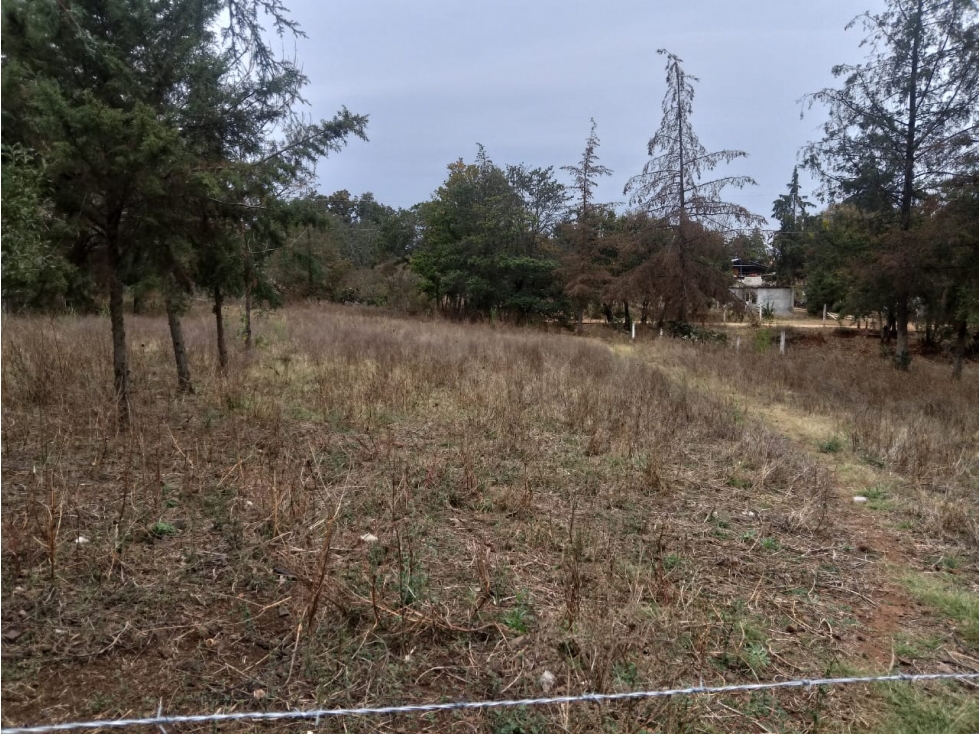 TERRENO EN VENTA EN HUASCA DE OCAMPO, HGO. - 6
