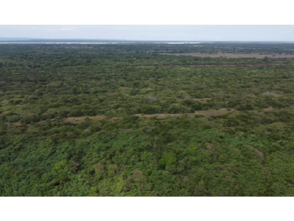Ranchos en Venta en Tamiahua, Veracruz, Ideal Para Inversionistas - 6