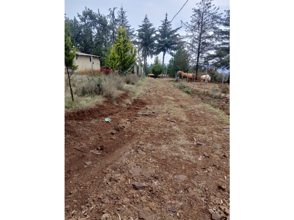 TERRENO EN VENTA EN HUASCA DE OCAMPO - 6