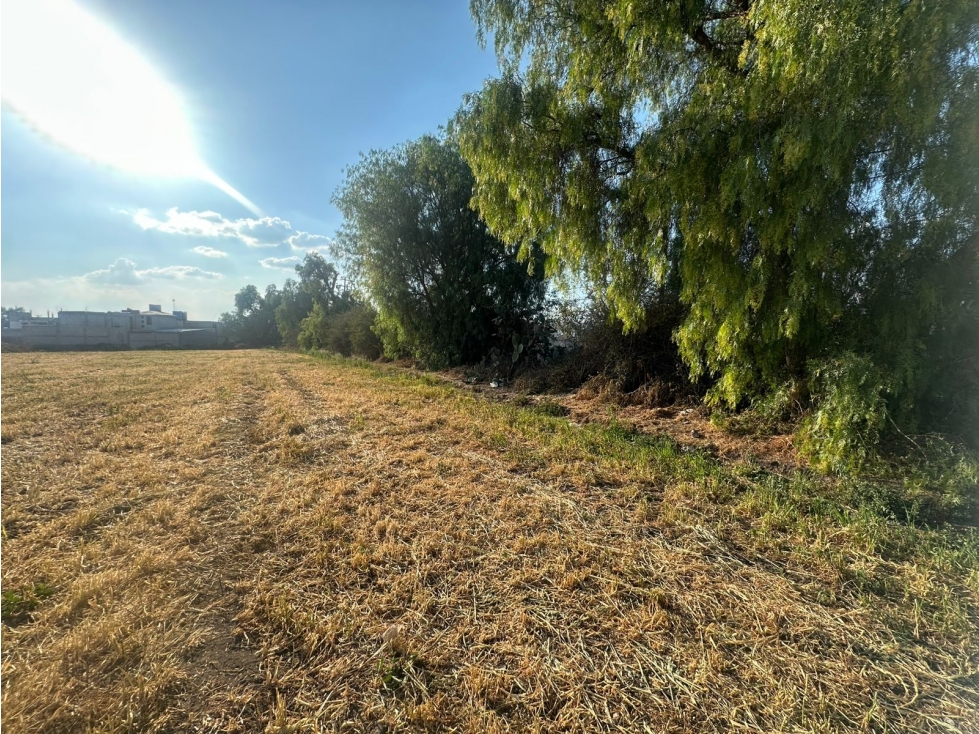 Terreno en Venta en Mixquiahuala - 6