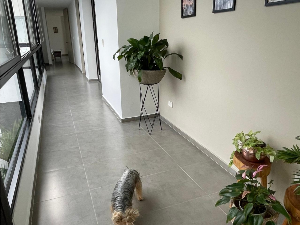 Casa campestre de lujo en venta cerritos Pereira — foto 6
