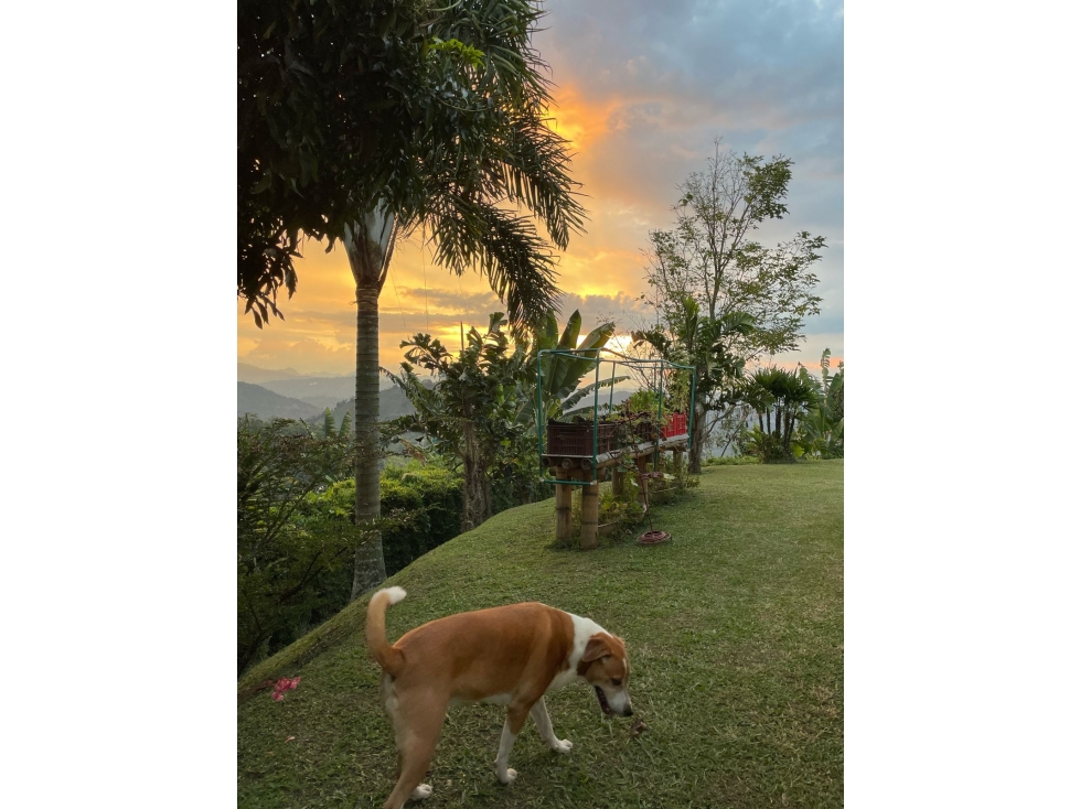 Casa Campestre en Venta Chinchiná, Caldas — foto 5