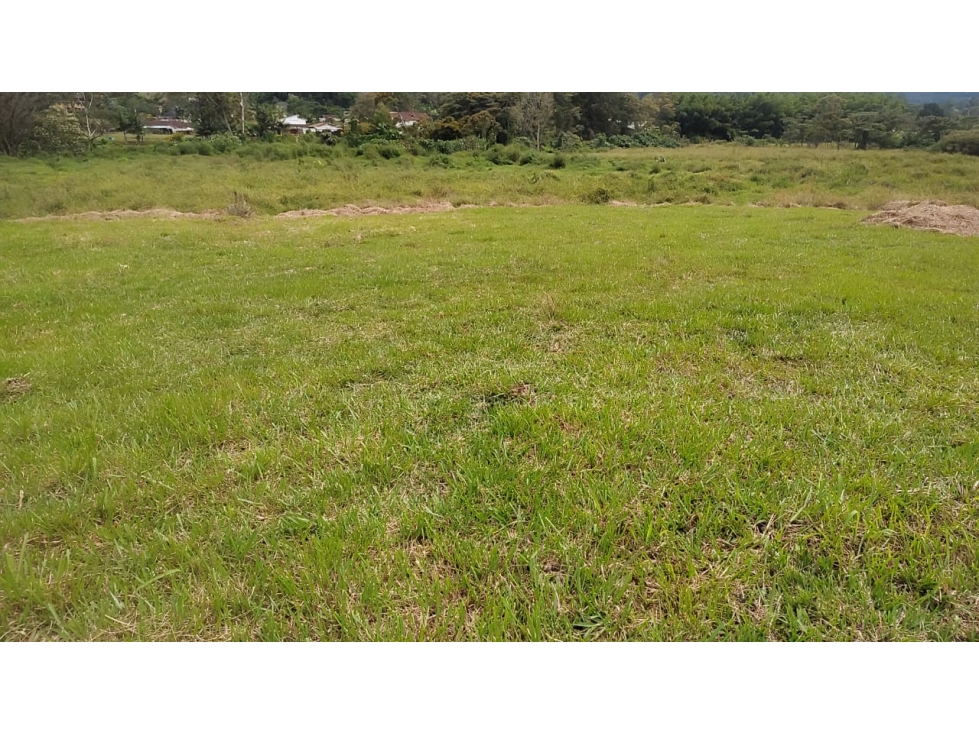 Venta de Lote Independiente en La Ceja, Sector el Capiro
