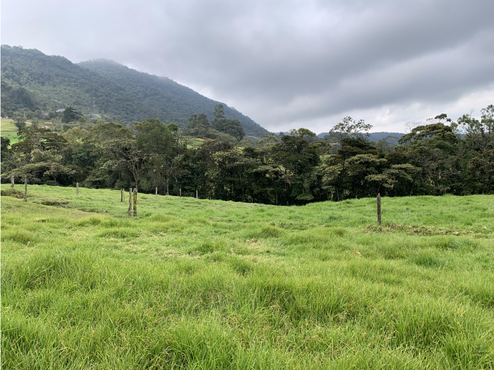 Venta de Lote 7 Hectareas La Ceja Parcelar