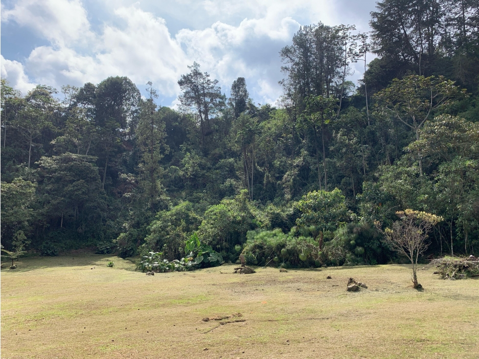 Venta de Lote En El Retiro Parcelación Semi Planos con Agua y Bosque — foto 2