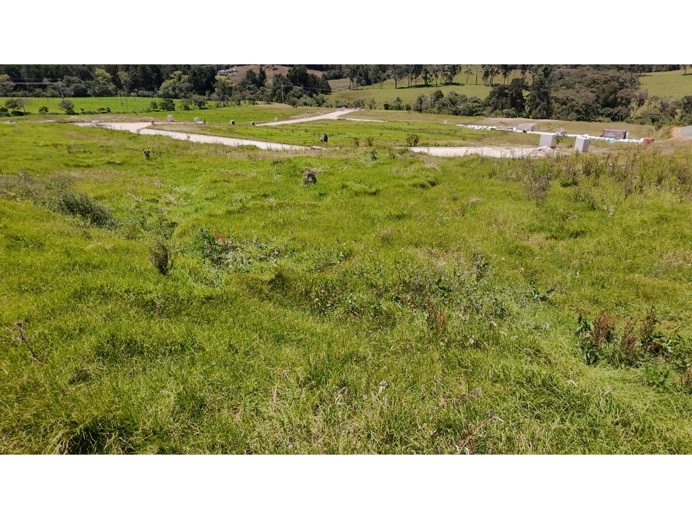 Venta de Lote Alto de Palmas Unidad Cerrada Sector Acuarela — foto 5
