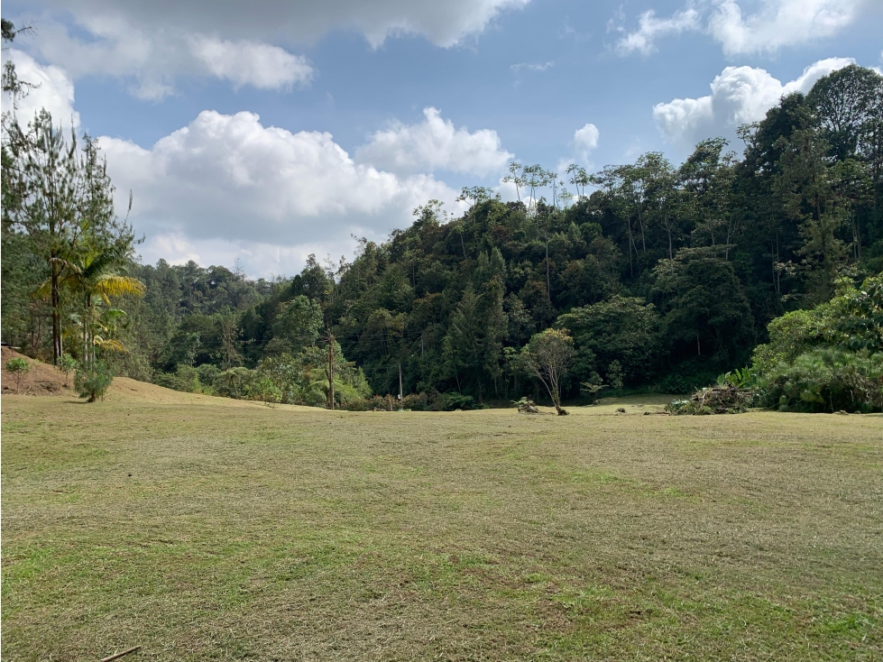 Venta de Lote En El Retiro Parcelación Semi Planos con Agua y Bosque — foto 3