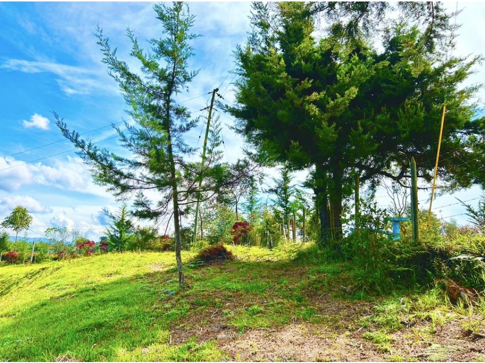 Venta de Lote en San Antonio Rionegro en Parcelación — foto 2