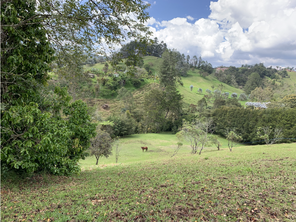 Venta de Lote Independiente en Cabeceras Alta Valorización — foto 2