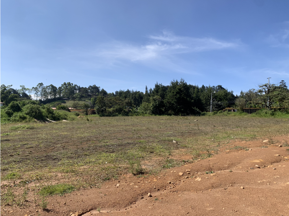 Venta de Lote Comercial en Rionegro Sector Barro Blanco — foto 3