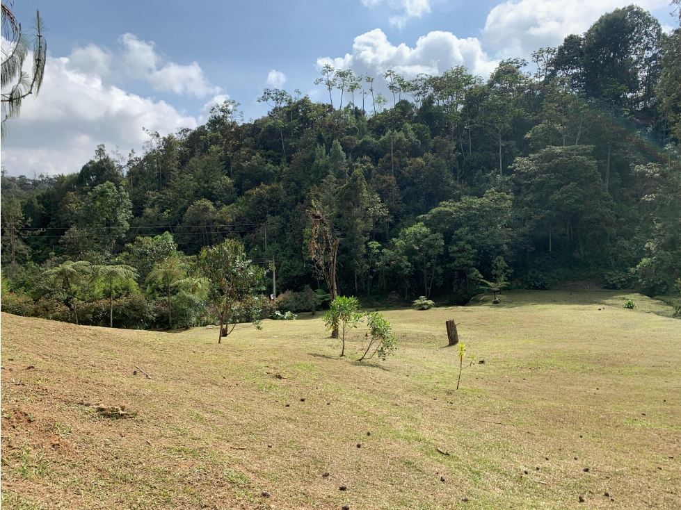 Venta de Lote En El Retiro Parcelación Semi Planos con Agua y Bosque — foto 4