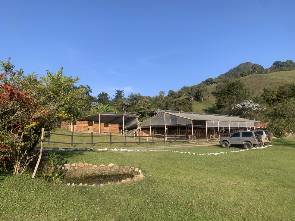 Venta de Casa Finca Independiente Rionegro con Pesebreras — foto 3