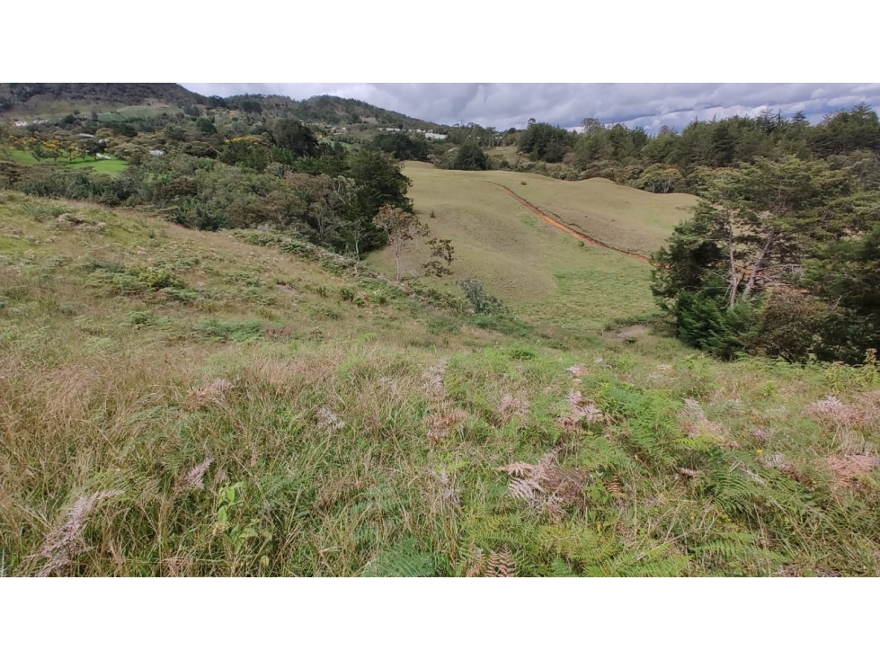 Venta de Lote Independiente en La Ceja, Sector el Capiro
