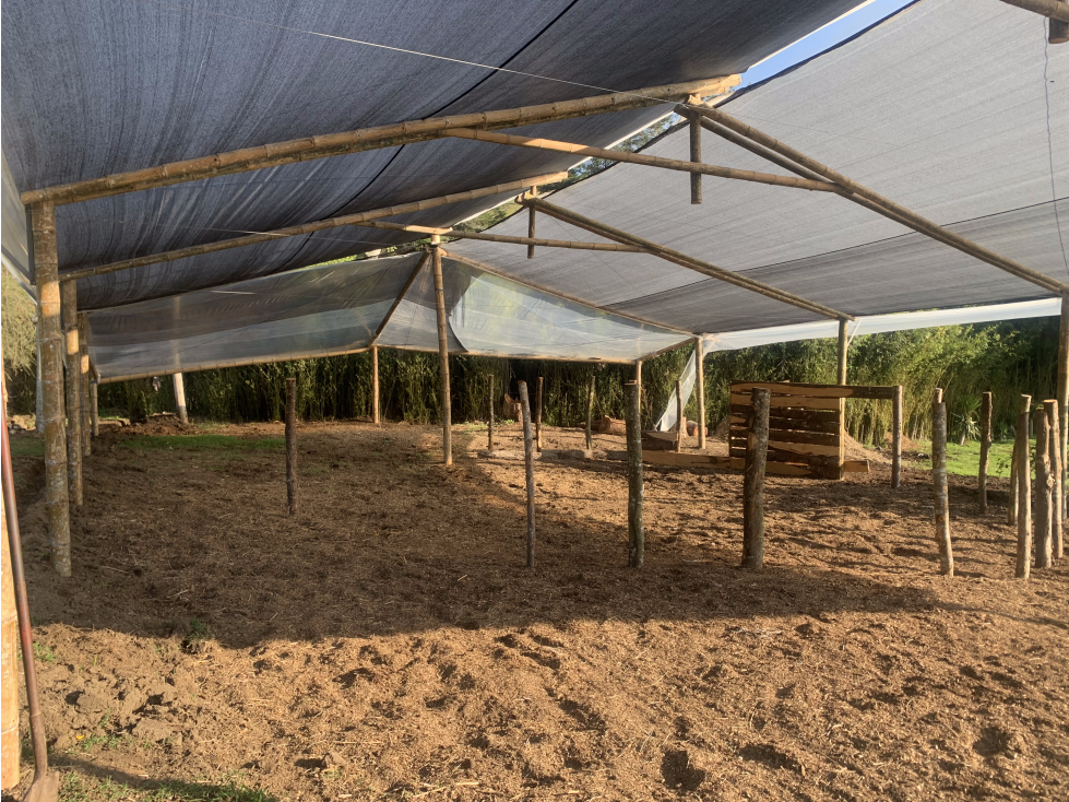 Venta de Casa Finca Independiente Rionegro con Pesebreras — foto 4