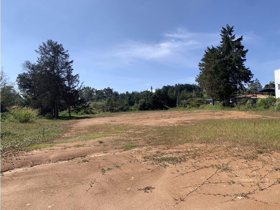Venta de Lote Comercial en Rionegro Sector Barro Blanco — foto 5