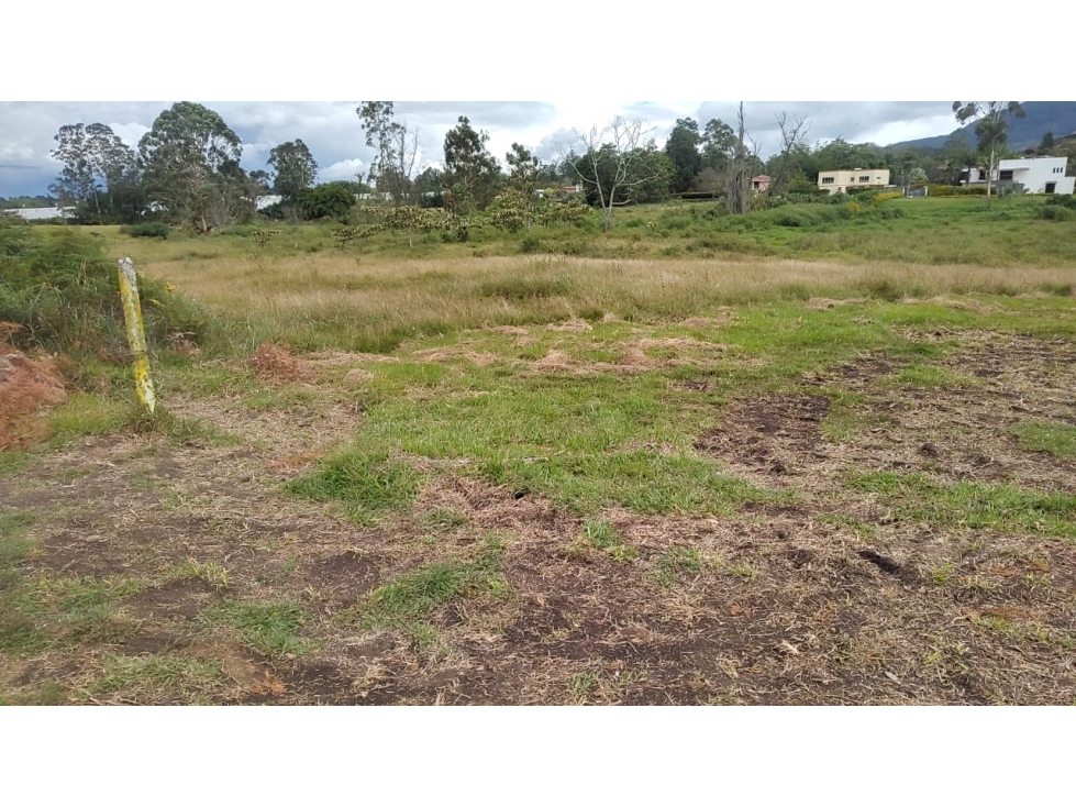 Venta de Lote Independiente en La Ceja, Sector el Capiro