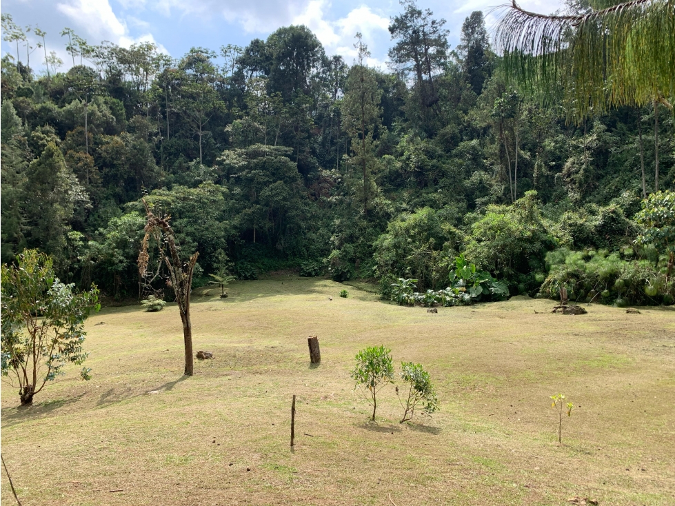 Venta de Lote En El Retiro Parcelación Semi Planos con Agua y Bosque — foto 5