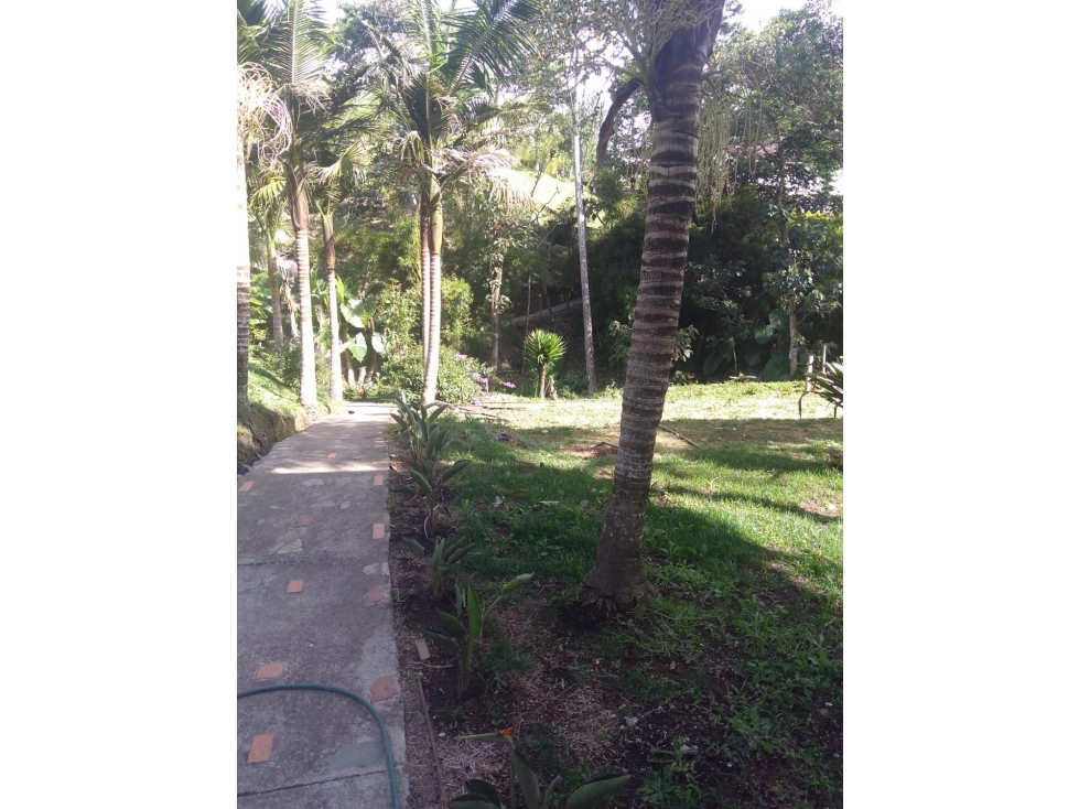 Venta de Finca Tradicional en Parcelación en La Ceja Zona Valorización — foto 4