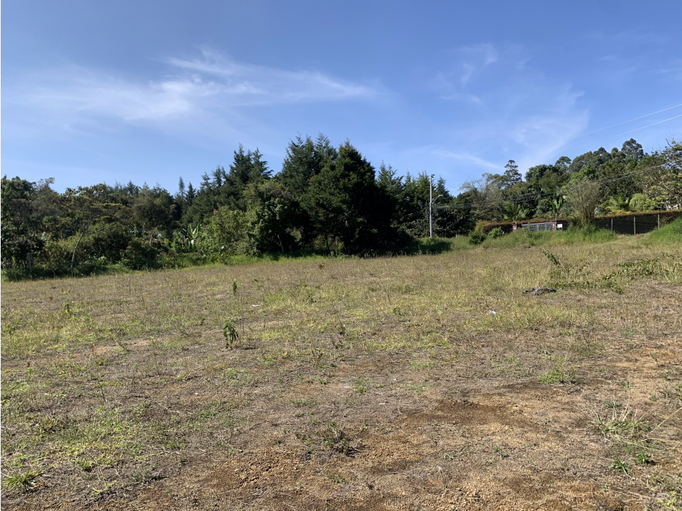 Venta de Lote Comercial en Rionegro Sector Barro Blanco — foto 6