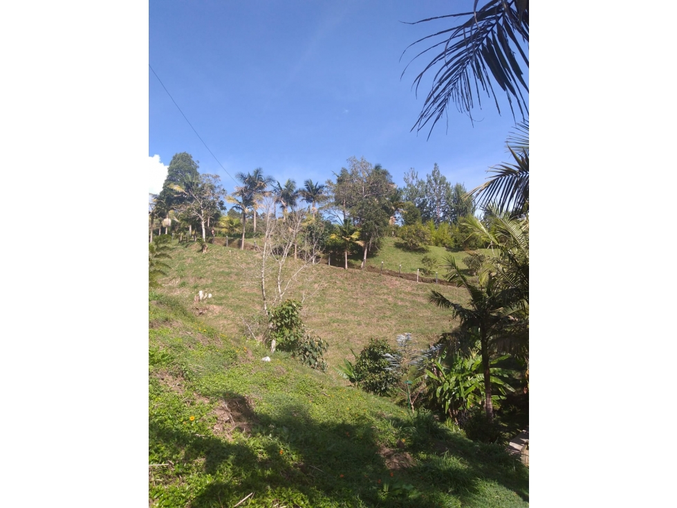 Venta de Finca Tradicional en Parcelación en La Ceja Zona Valorización — foto 5