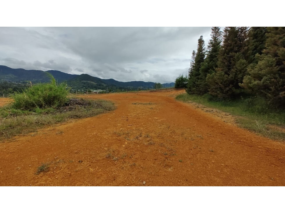 Venta de Lote Independiente en La Ceja, Sector el Capiro