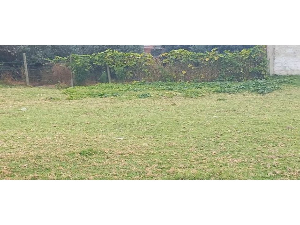 Vendo lote urbano en Chia (Cundinamarca) - 6
