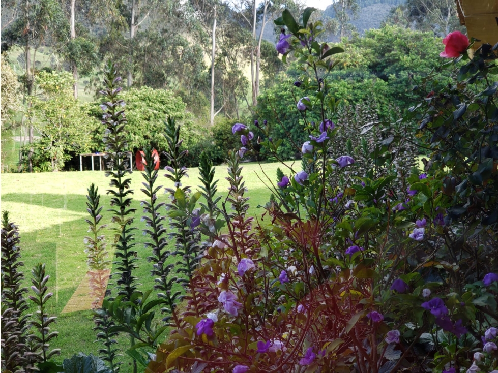 LA CALERA VISTA EXPECTACULAR - 4