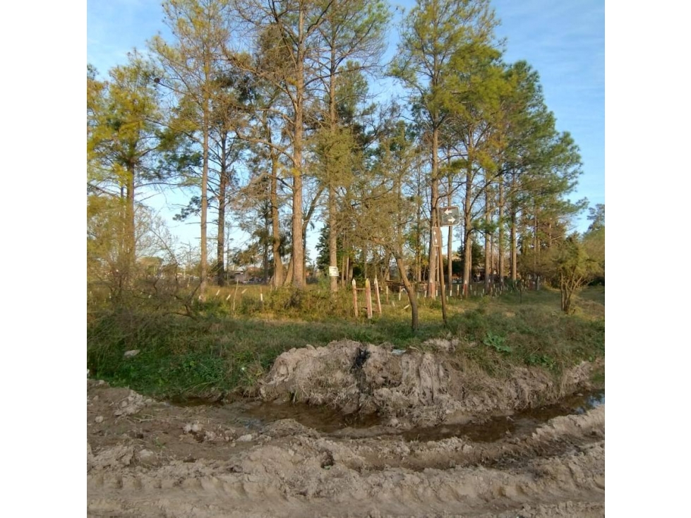 LOTE DE 8000 METROS EN BORGES Y CHURRUARIN - 3