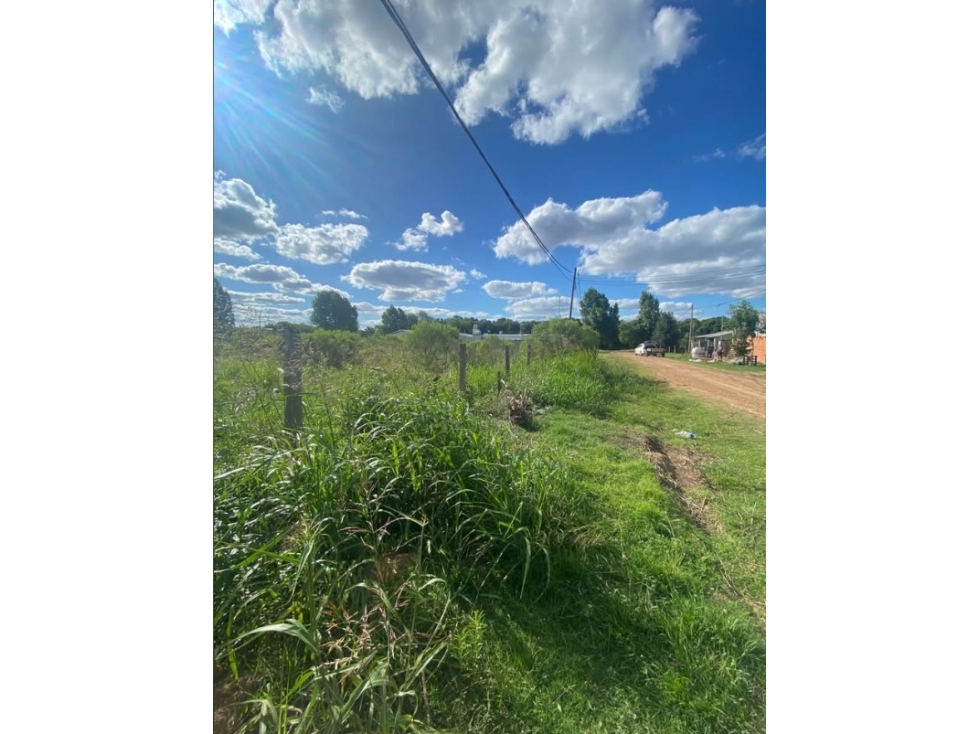Lote Autodromo de Paraná - 3