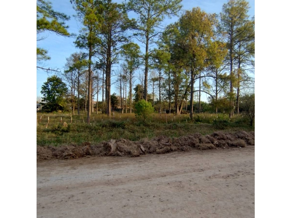 LOTE DE 8000 METROS EN BORGES Y CHURRUARIN - 4