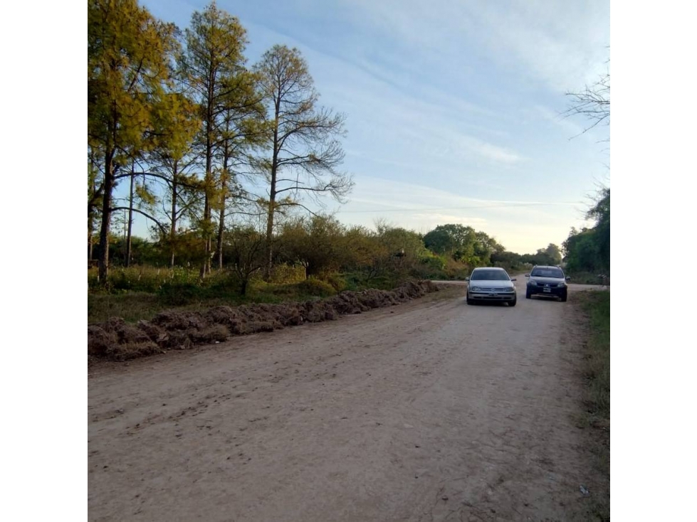 LOTE DE 8000 METROS EN BORGES Y CHURRUARIN - 5