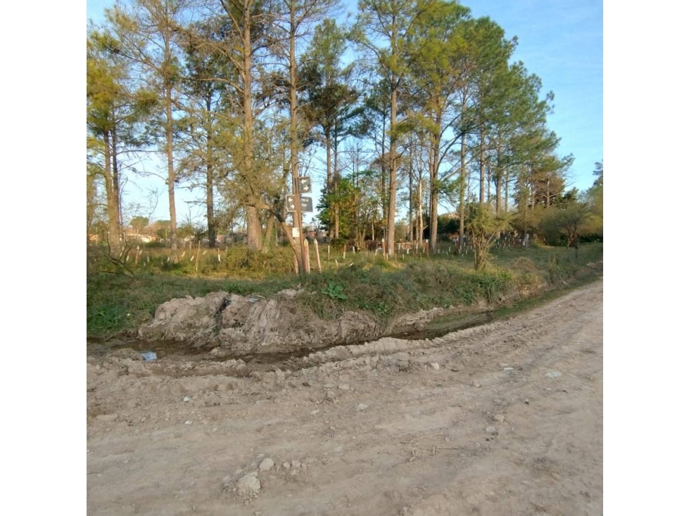 LOTE DE 8000 METROS EN BORGES Y CHURRUARIN - 6