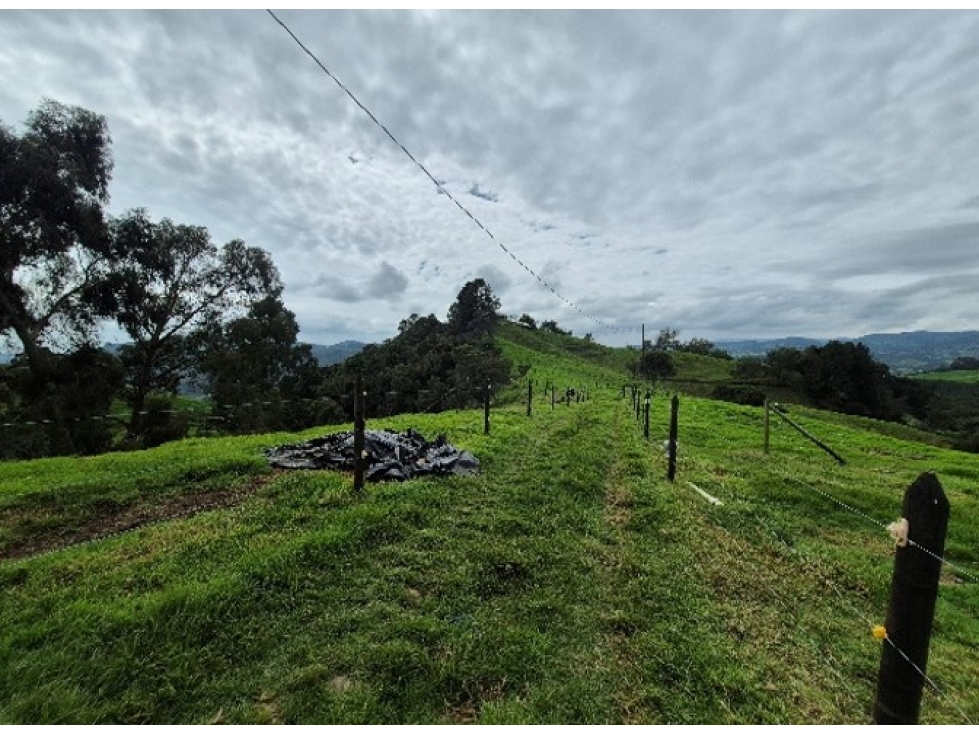 Lotes para Venta en San Pedro de Los Milagros Vereda Zafra — foto 3