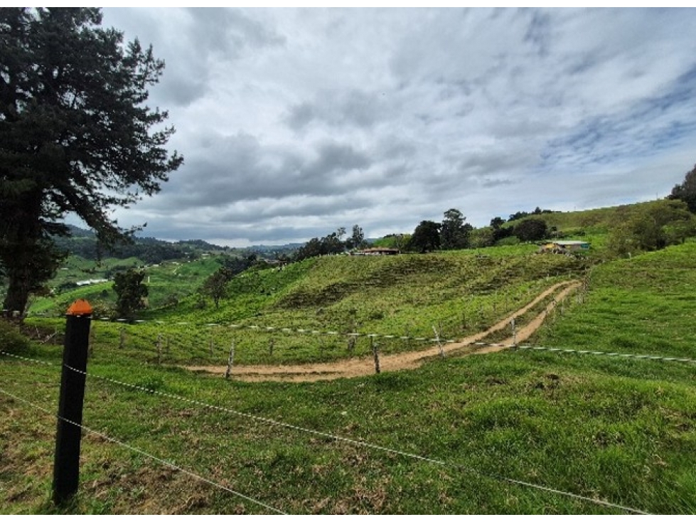 Lotes para Venta en San Pedro de Los Milagros Vereda Zafra — foto 4