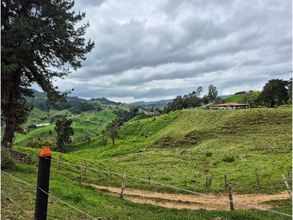Lotes para Venta en San Pedro de Los Milagros Vereda Zafra — foto 5