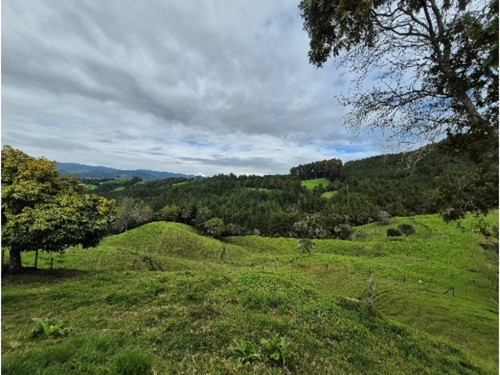 Lotes para Venta en San Pedro de Los Milagros Vereda Zafra — foto 6