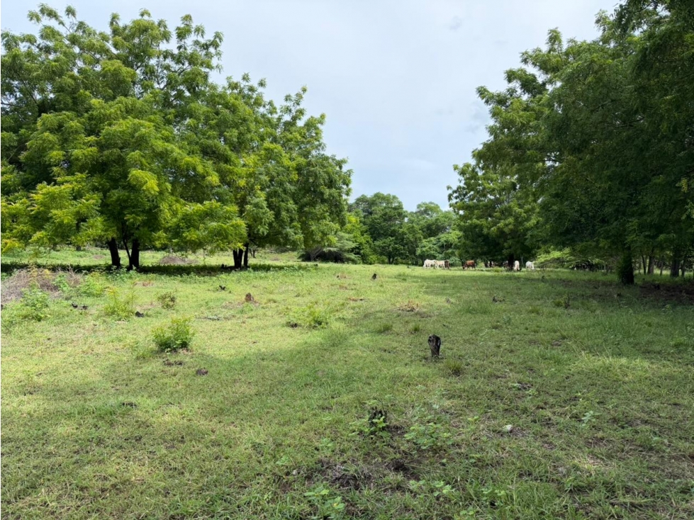 Lote Palmarcito, Girardot, Vereda Guabinal para venta - 6