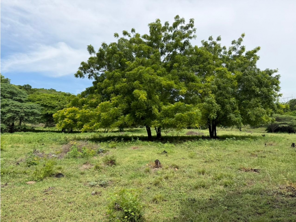 Lote Palmarcito, Girardot, Vereda Guabinal para venta - 4
