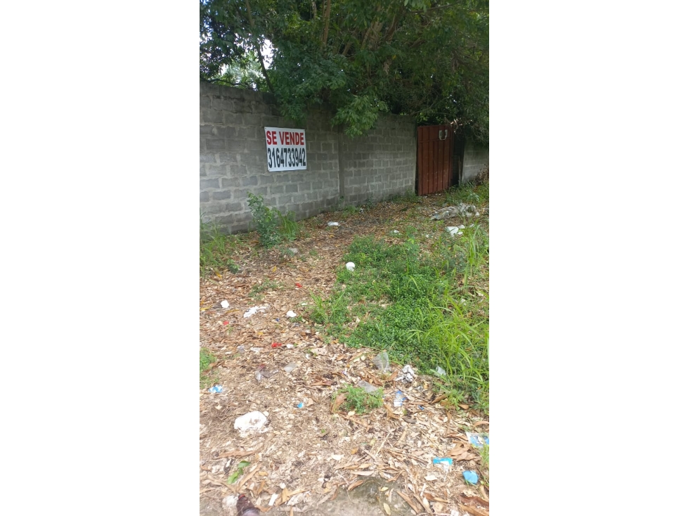 Lote Monteria Barrio Pasatiempo — foto 2