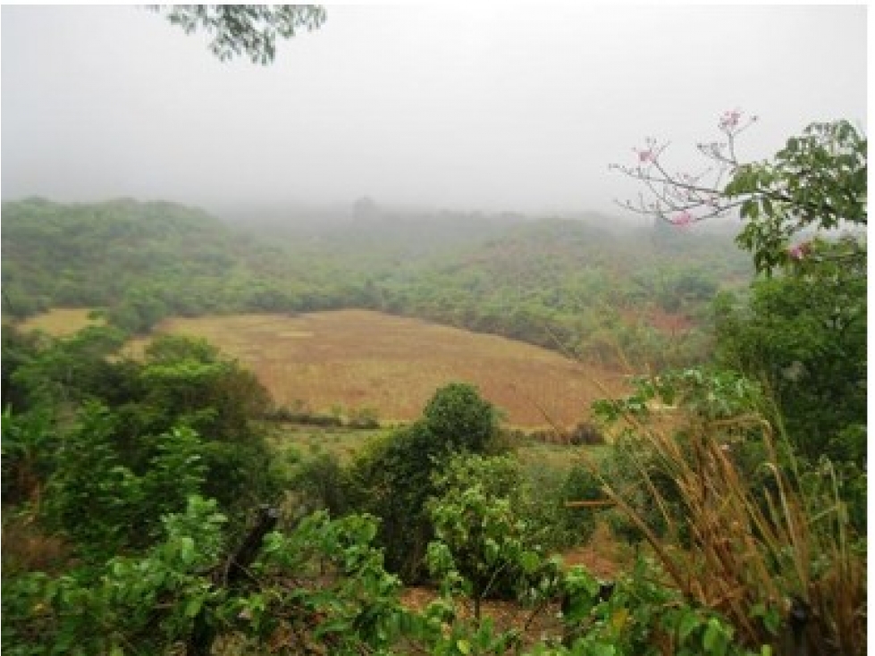 Se vende lote Curiti Santander - 3